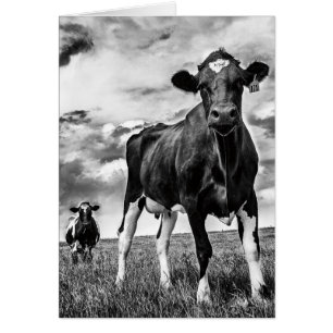 Wartete BW-Ernte