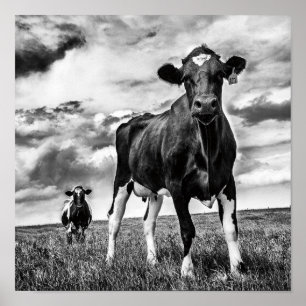 Wartete BW-Ernte Poster