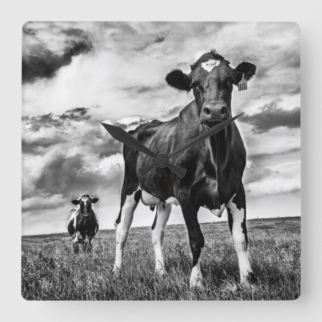 Wartete BW-Ernte Quadratische Wanduhr (Vorderseite)