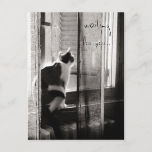 Wartete Sie - Postkarte