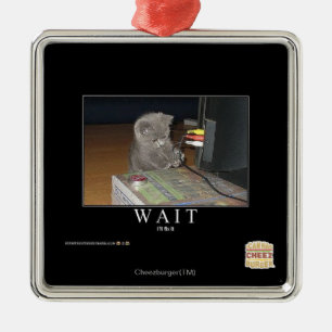 Wartezeit Silbernes Ornament