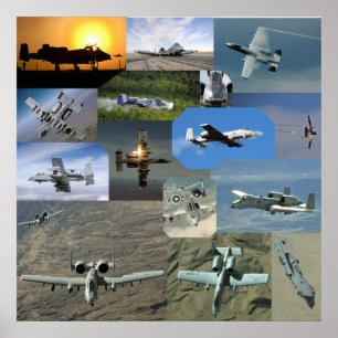 Warthog collection poster