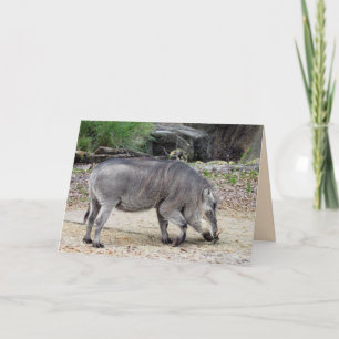 Warthog Grußkarte Karte