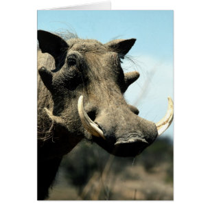 Warthog Nah-up