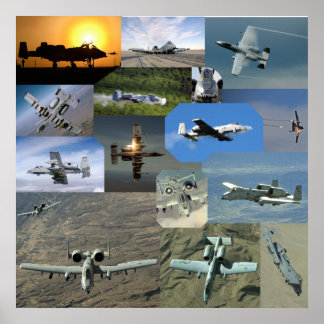 Warthog-Sammlung Poster