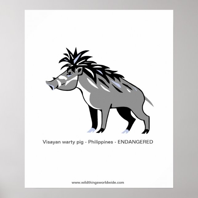 Warthog - Warty PIG - gefährdete Tiere - wild lebe Poster (Vorne)