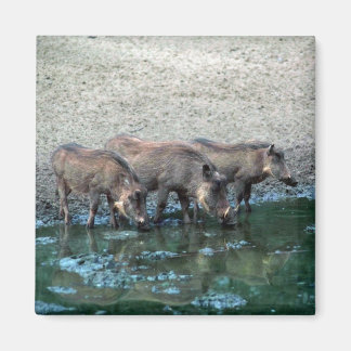 Warthogs Magnet