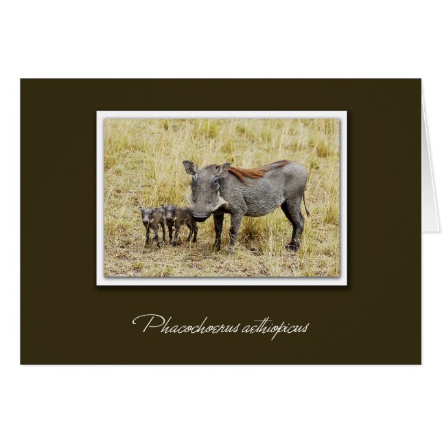 Warthos mit Safarikarten für Ferkel (Vorderseite (Horizontal))