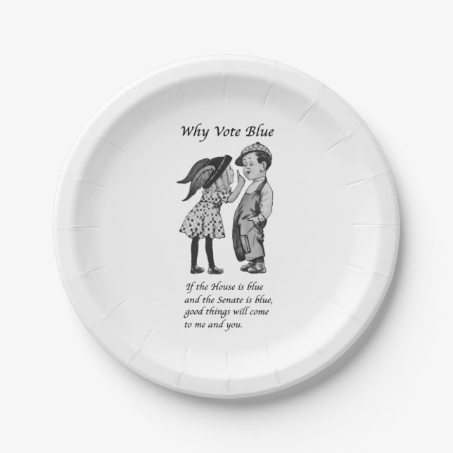 Warum 2024 Blue wählen Pappteller (Vorderseite)