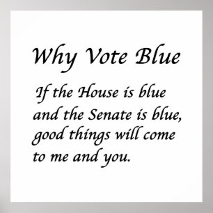 Warum 2024 Blue wählen Poster
