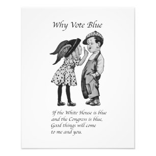 Warum 2028 völlig blau abstimmen fotodruck