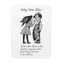 Warum 2028 völlig blau abstimmen