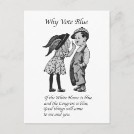 Warum 2028 völlig blau abstimmen postkarte