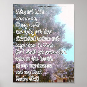 Warum bist du niedergeworfen poster