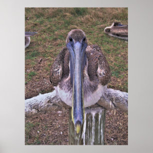Warum das lange Gesicht? Poster