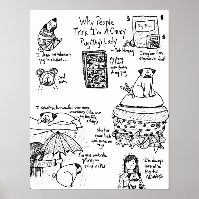 Warum die Leute denken, ich bin eine verrückte Mop Poster (Vorne)