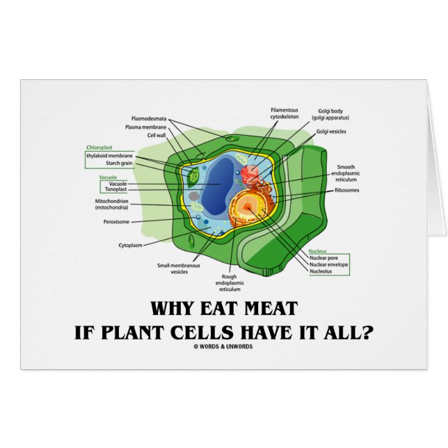 Warum essen Sie Fleisch, wenn Pflanzen-Zellen es (Vorderseite (Horizontal))