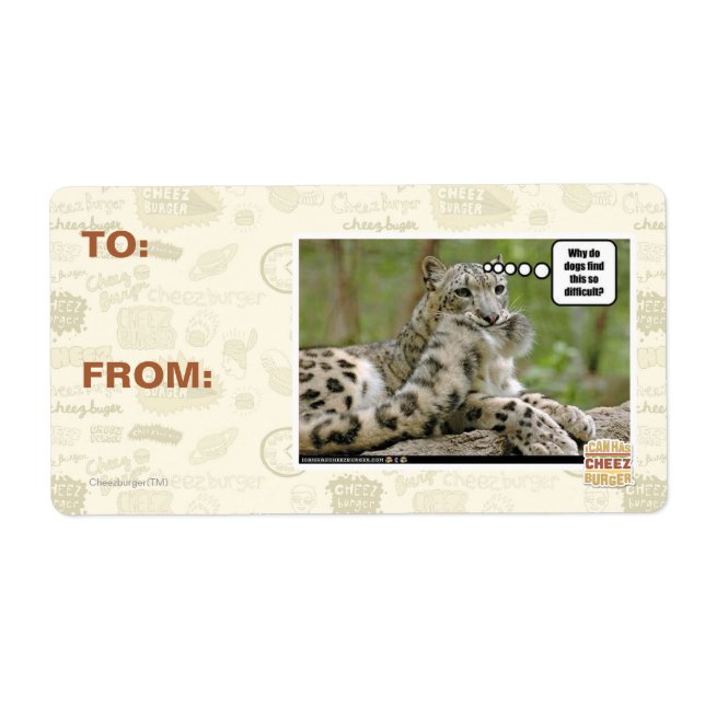 Warum finden Hunde das so schwierig? (Vorne)