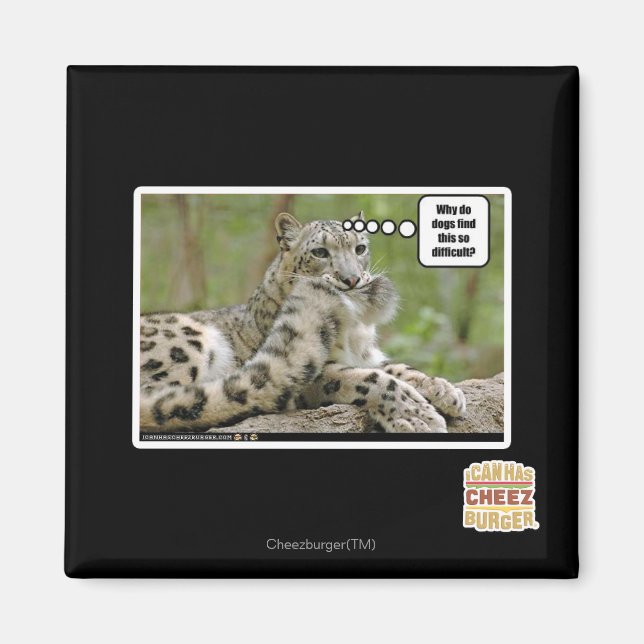 Warum finden Hunde das so schwierig? Magnet (Vorne)