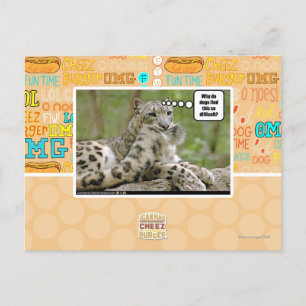 Warum finden Hunde das so schwierig? Postkarte