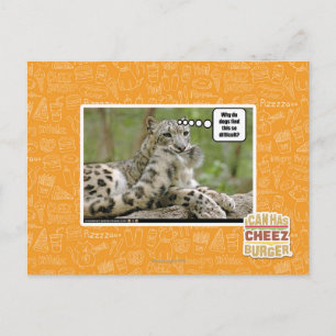 Warum finden Hunde das so schwierig? Postkarte