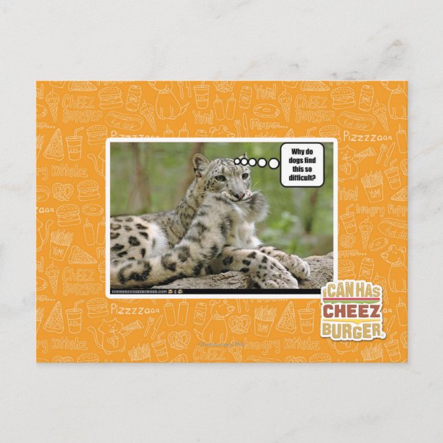 Warum finden Hunde das so schwierig? Postkarte (Vorderseite)