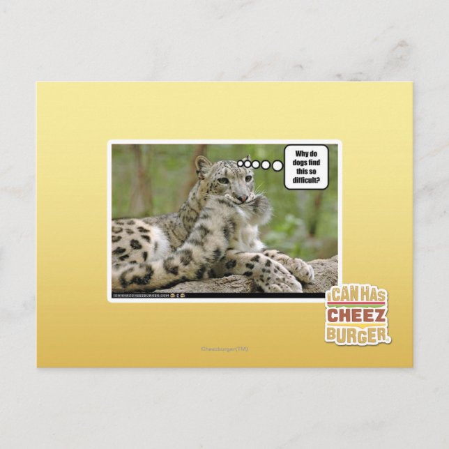 Warum finden Hunde das so schwierig? Postkarte (Vorderseite)