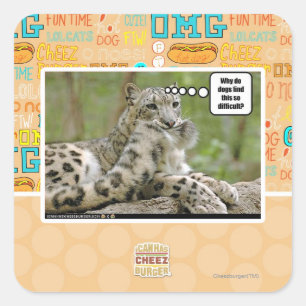 Warum finden Hunde das so schwierig? Quadratischer Aufkleber