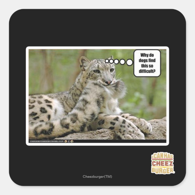 Warum finden Hunde das so schwierig? Quadratischer Aufkleber (Vorderseite)