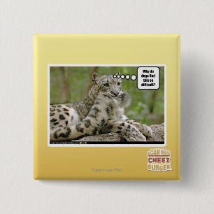 Warum finden Hunde dieses so schwierig? Button