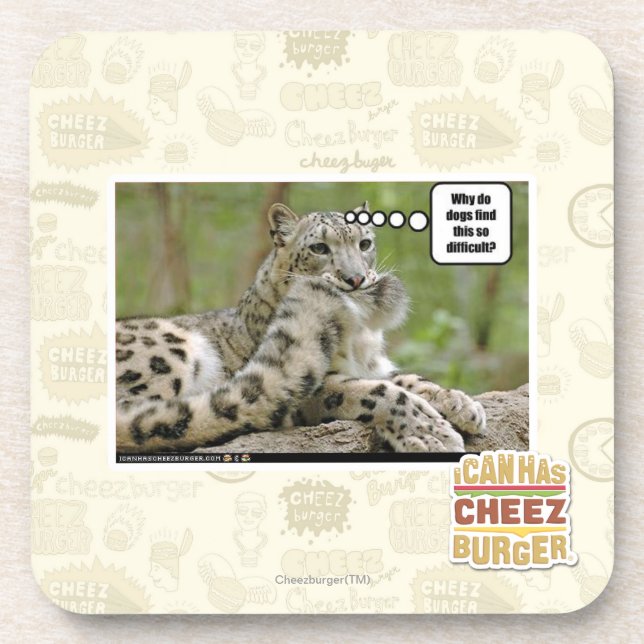 Warum finden Hunde dieses so schwierig? Getränkeuntersetzer (Vorderseite)