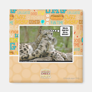 Warum finden Hunde dieses so schwierig? Magnet