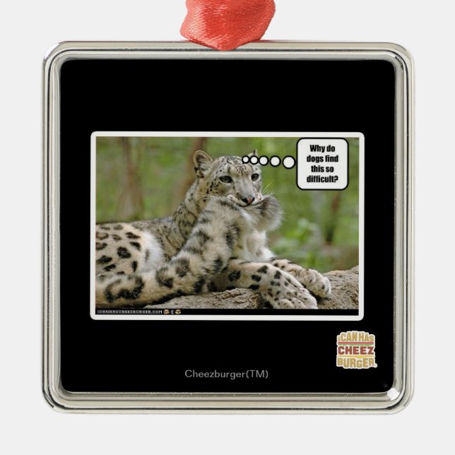 Warum finden Hunde dieses so schwierig? Silbernes Ornament (Vorne)