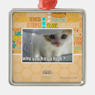 Warum haben Sie ein Fell? Silbernes Ornament