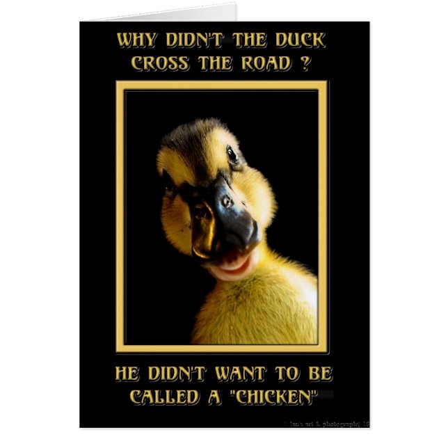 Warum hat die Ente nicht die Straße überquert? (Vorne)