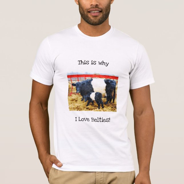 Warum ich Liebe Belties Niedlich Belted Galloway K T-Shirt (Vorderseite)