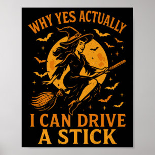 Warum ja, ich kann tatsächlich ein Stick Funny Hal Poster
