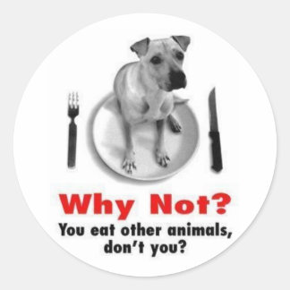 Warum nicht? (Aufkleberversion) Runder Aufkleber