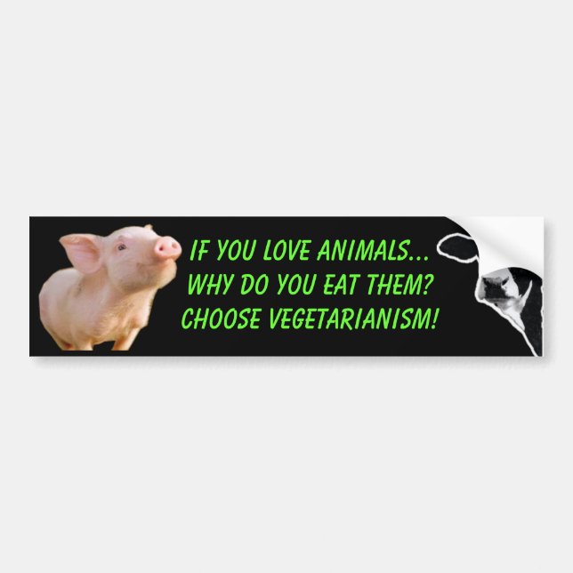 warum Sie Tiere essen Autoaufkleber (Vorne)
