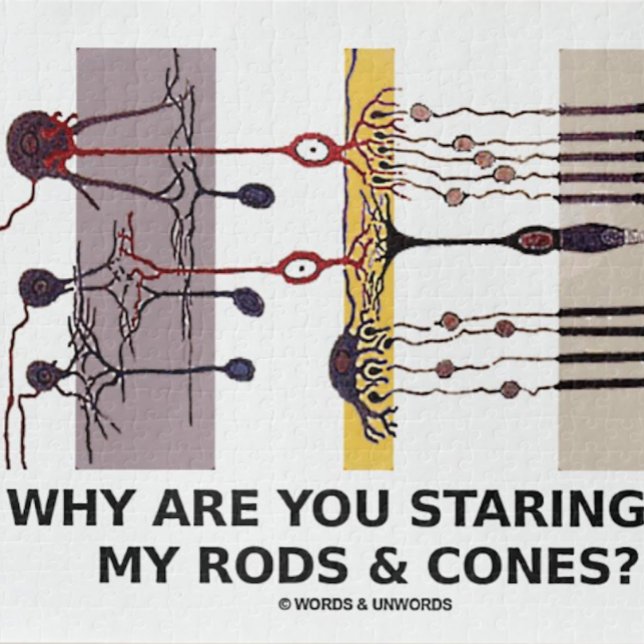Warum starrst du an meinen Rods & Cones? Puzzle (Jigsaw puzzle for anyone into anatomical attitude at the eye level)