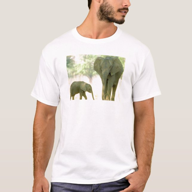 Warum Tiere überlegen sind T-Shirt (Vorderseite)