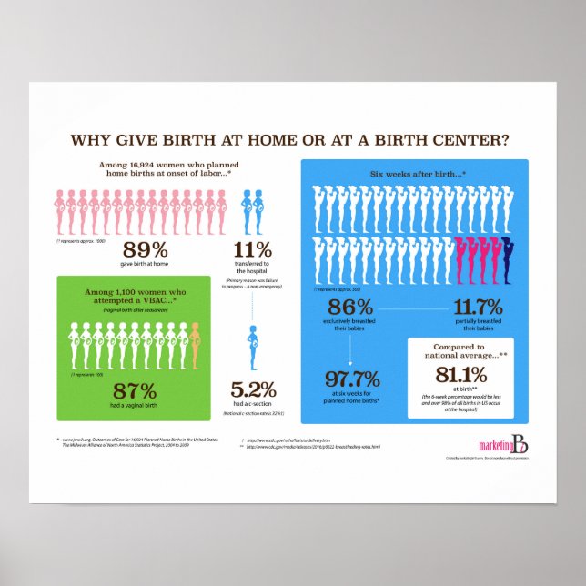 Warum Zuhause Birth Infographic 20" x 16" Poster (Vorne)