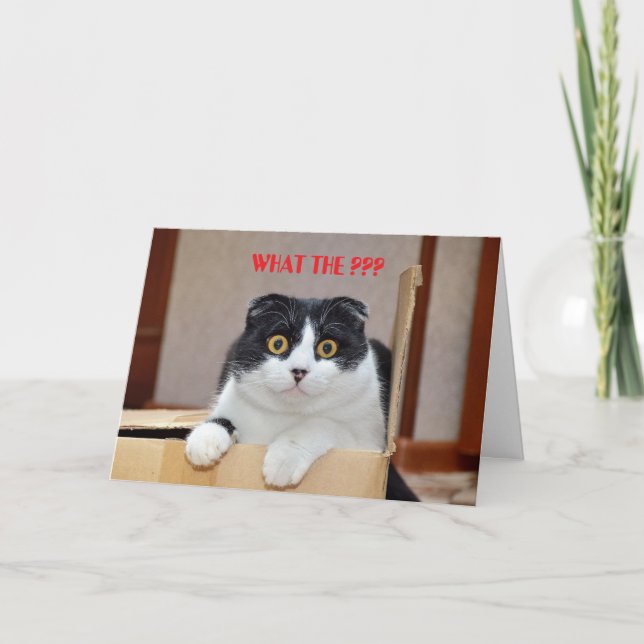 WAS?? BELATED BIRTHDAY CARD KARTE (Vorderseite)