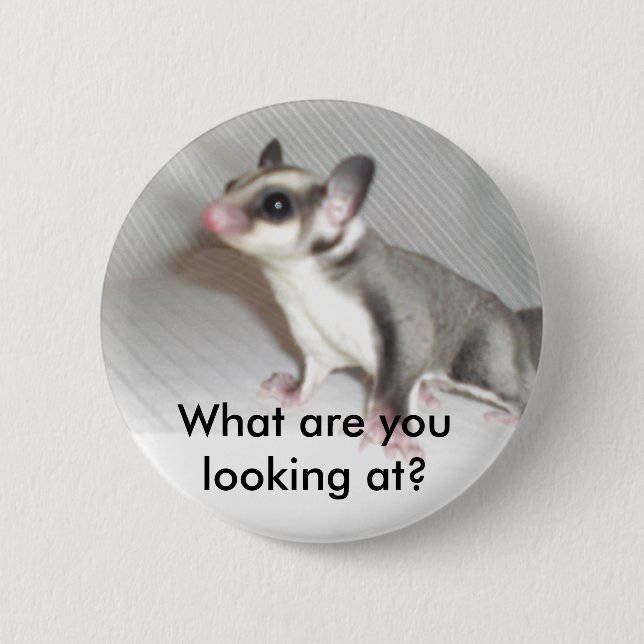 Was betrachten Sie? Button (Vorderseite)