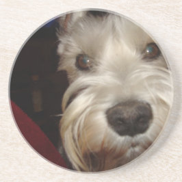 Was betrachten SIE? Getränkeuntersetzer