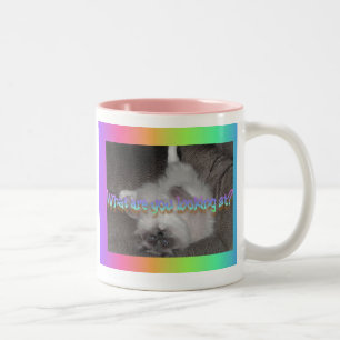 Was betrachten Sie? Zweifarbige Tasse