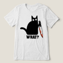 Was Black Cat Knife Meme