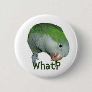 Was? Button