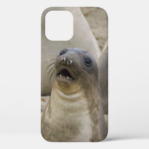 WAS? Case-Mate iPhone HÜLLE