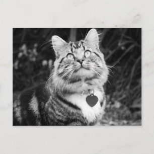 Was da oben ist postkarte